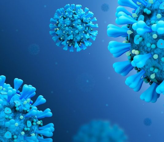 Stress et immunité : le défi viral de Sheldon Cohen stress-immunité-coronavirus-sars-cov