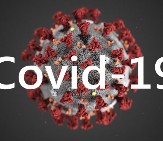 Existe-t-il un régime anti-Covid ? Introduction covid19-alimentation-immunité