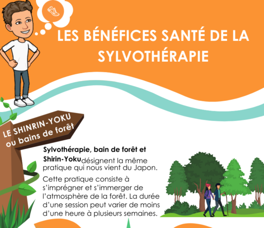 Les bénéfices santé de la sylvothérapie sur notre organisme LES BENEFICES SANTE DE LA SYLVOTHERAPIE SUR NOTRE ORGANISME